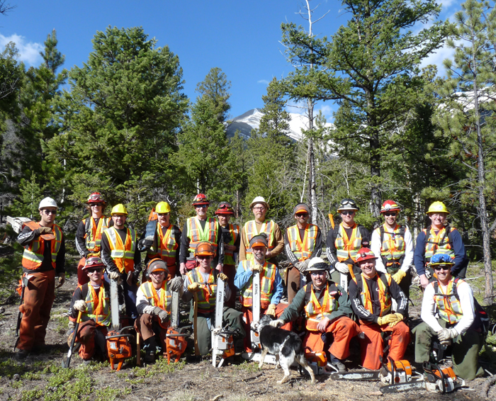 S-212 Wildland Fire Chain Saws, #21 at the foot of Mt. Princeton in May, 2010.