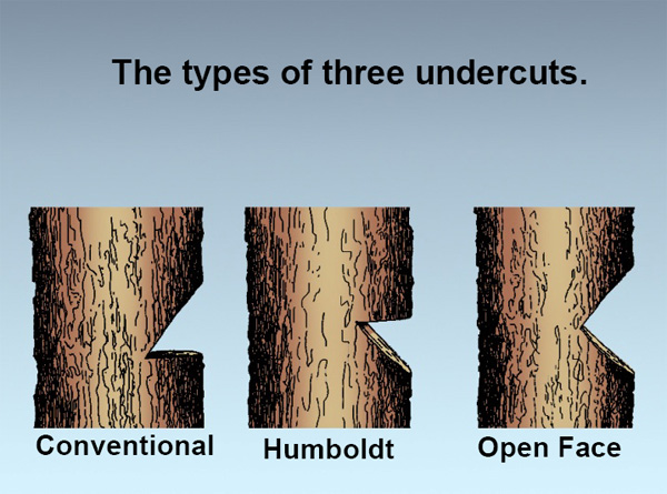 The types of three undercuts. Conventional, Humboldt, Open Face