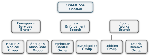 Ops Section with 3 Branches, each having 2 Groups.