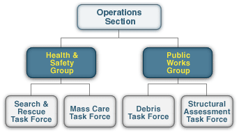 Organizational chart, see long description