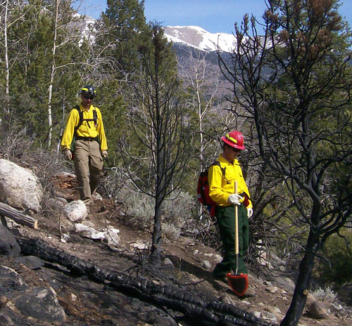 Studying the ground truth—students in the May S-130/190 class walk the fireline of the Forest Road 219 Fire. Lessons learned: 1) It doesn't take much of a scratch line to stop a fire, and 2) don't go to a real fire with nomex that bright yellow.