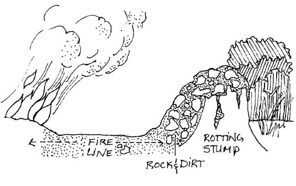 Protection of Stumps and Logs Outside Fireline