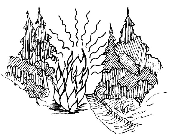 Fire Spread Across Fireline By Radiation