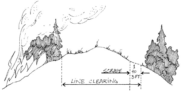 Fireline Showing Cleared and Scraped Area